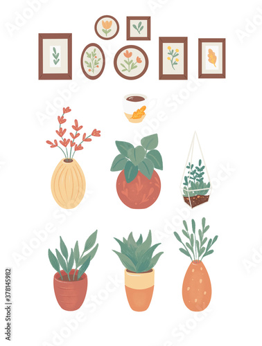 Fototapeta Naklejka Na Ścianę i Meble -  Set of plants bouquets plant pots framed pictures with plants, isolated on white background 