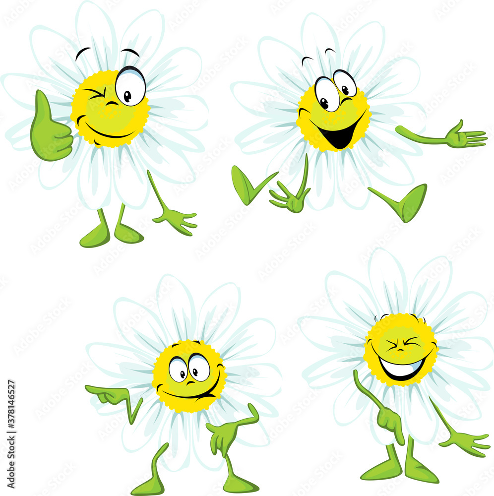 Chamomile Cartoon - Funny Vector Illustration Chamomile Cartoon - Funny Vector Illustration