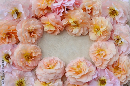 Frame with delicate pink and creamy roses in pastels tones on light background
