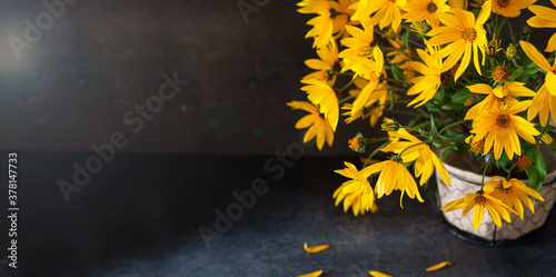 Autumn banner. Yellow flowers on gark background. Copy space for text. Flowers shop concept. Hello autumn, fall sale photo