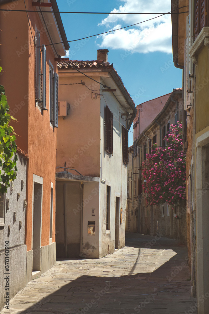 Fototapeta premium Narrow street in the historic downtown of Koper (Capodistria), Slovenia