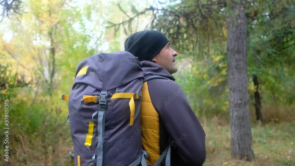 Hiker with backpack walking in forest. autumn trekking
