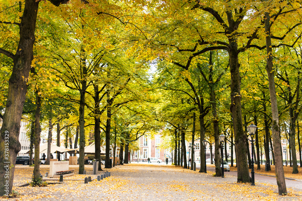 Naklejka premium Den Haag - Niederlande - Holland