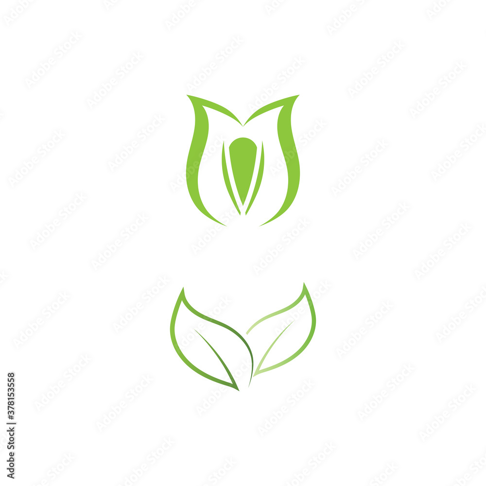 Leaf Mint Logo Template vector symbol Leaf Mint Logo Template vector symbol