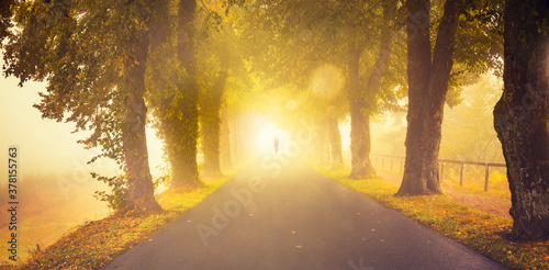 Mann läuft in Helles Licht am Ende einer Strasse mit Bäumen