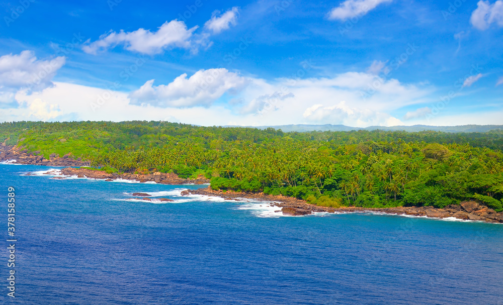 Picturesque coastline of the Indian Ocean with coconut palms . View from above.