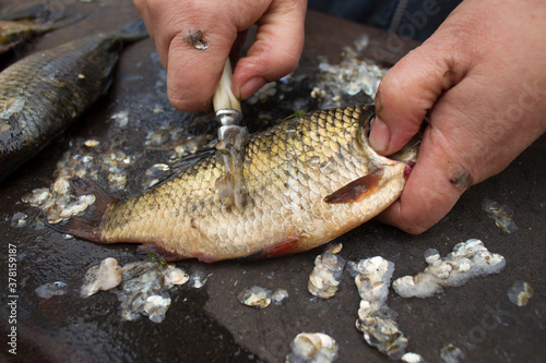Fisherman cleaning a small fish