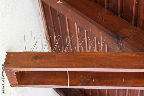 Bird repellent metal spikes mounted on top of a house wooden beam