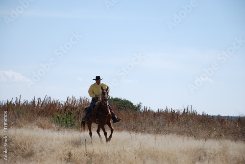 cowboy riding horse © Cuauhtemoc