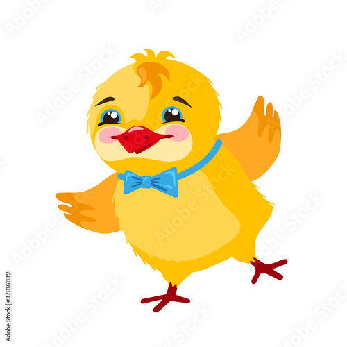 Cute and funny naughty chick, boy. Vector, isolated in the style of a cartoon.