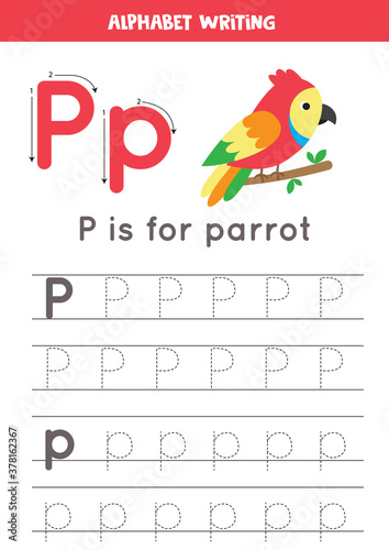 P is for parrot. Tracing English alphabet worksheet.