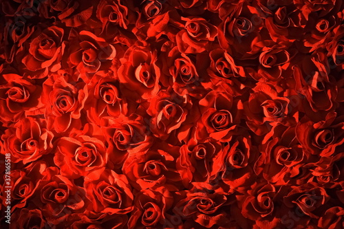 red roses texture seen from above © Luiz Henrique Mendes