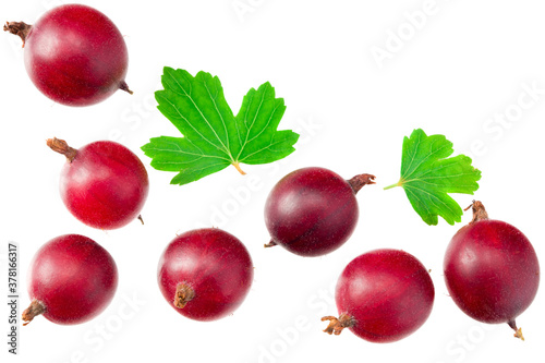 red gooseberry with leaves isolated on white background. Top view.