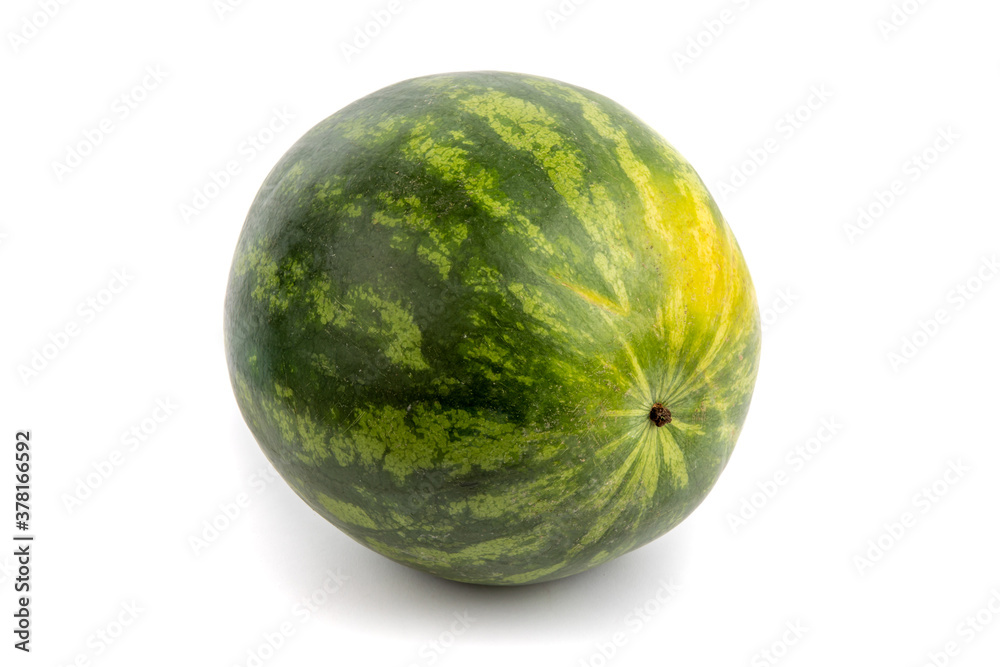a large green round seedless watermelon isolated on a white background a large green round seedless watermelon isolated on a white background