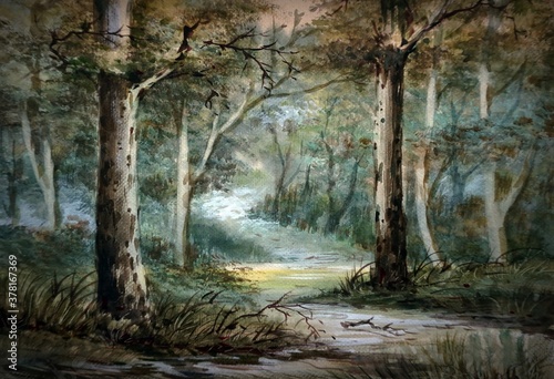 Forest, trees, pathway watercolor beautiful bright colors , Countryside