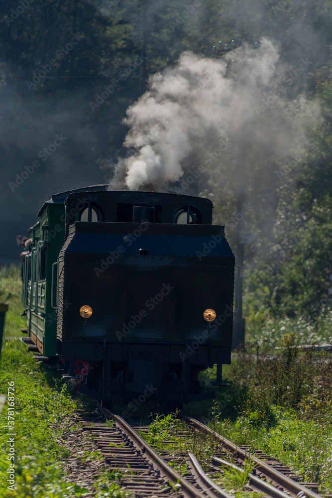 Narrow gauge railway with steam train near Majdan station in Poland