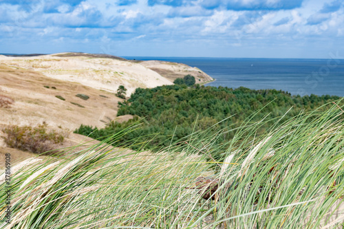 Nagliai Nature Reserve in Neringa, Lithuania. Dead dunes, sand hills built by strong winds, with ravines and erosion. Any human activity is prohibited in the reserve except for scientific observations © Michele Ursi