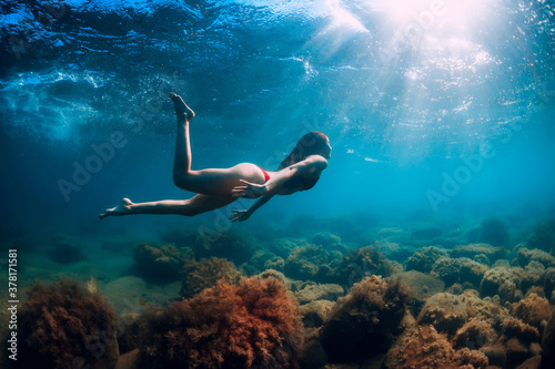 Attractive woman dive near stone with seaweed in underwater. Swimming in transparent sea