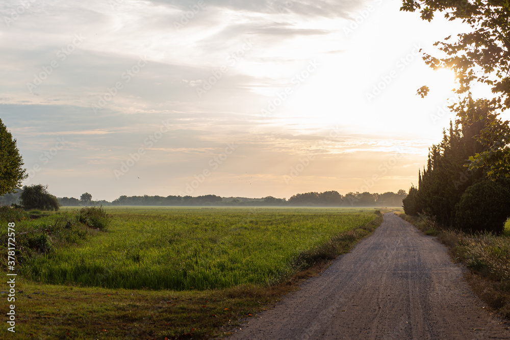 Rural gravel path green landscape on a bright sunny sky sunrise scene