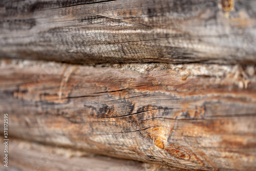 The wall of a log cabin with slightly burned logs. Narrow focus.