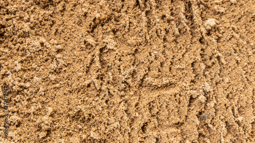 sand.Sand texture. Sandy beach for background. Top view