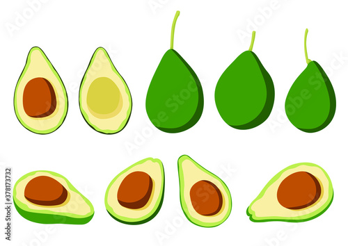 avocado fruit and half isolated on white background illustration vector 