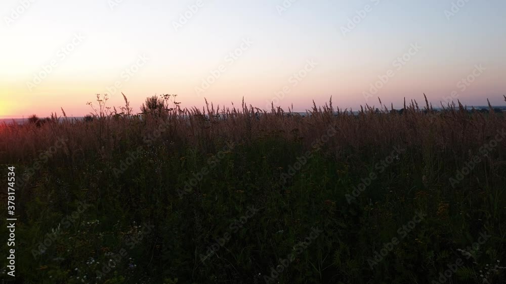 Green field at sunrise with blue sky