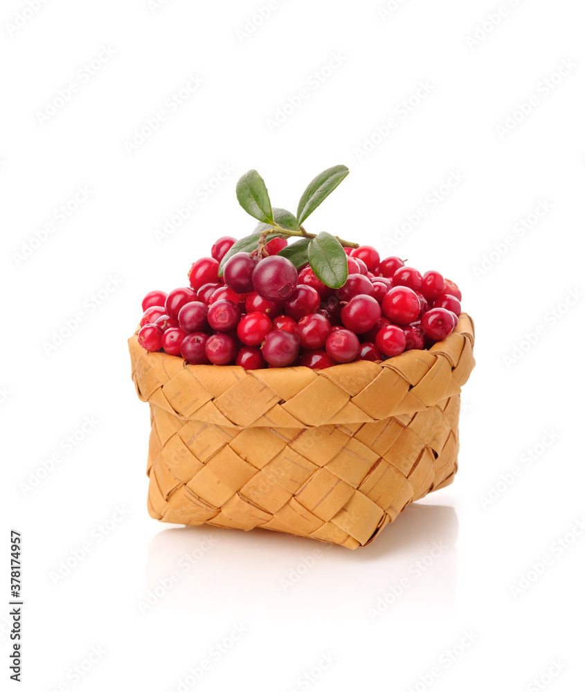 Lingonberry in a basket isolated on a white background Lingonberry in a basket isolated on a white background