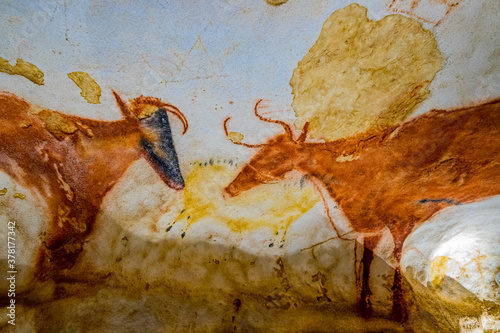 La Grotte de Lascaux IV