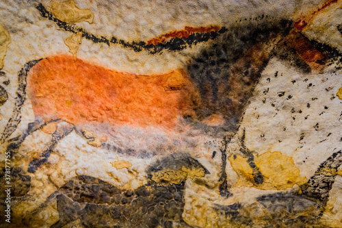 Fototapeta La Grotte de Lascaux IV