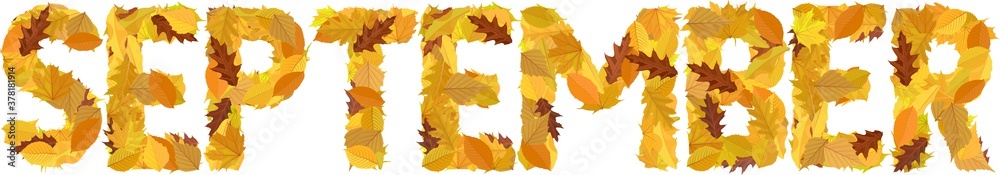 Obraz premium Word September With Colourful Letters Autumnal Leaves