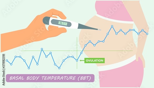 BBT chart basal body day get IUD sex care date plot stop test birth cycle first graph level mucus paper patch phase tract Corpus detect family health luteal luteum method mother record consult period