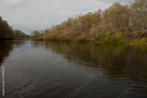 Psel river and deciduous forest, panoramic landscape.