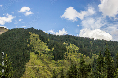 Beautiful Central Asian landscape. Hills, mountains, trees, green grass and the blue cloudy sky