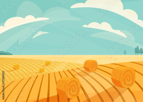 Wheat field landscape vector illustration after haymaking. Nature farm scenery with golden yellow haystack rolls. Bright summer countryside view