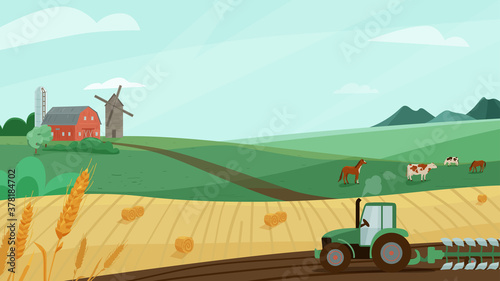 Stampa su tela Farm landscape vector illustration with green meadow, wheat field, tractor cultivate earth