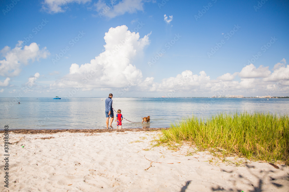 Father son and dog at the beach on a beautiful hot summer day with blue sky, white clouds, white sand, green grass, and clear water.