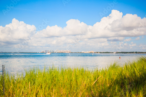 Beautiful hot summer Beach day with blue sky  white clouds  white sand  green grass  and clear water.