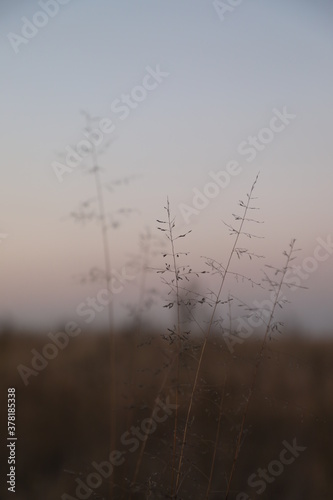 Sunset and Nature