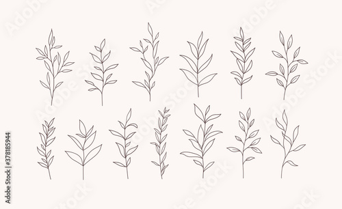 Set of vector tree branches and leaves. Hand drawn floral elements.