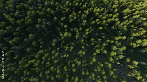 A Fly Over of Wooded Lake Shore photo