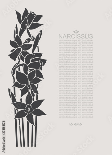 Narcissus flowers on light background.  Floral card with copy space for your text. 