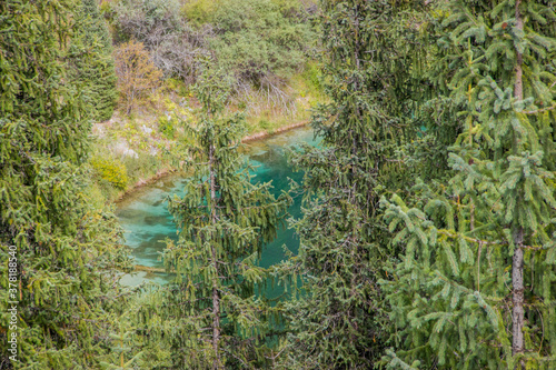 Mountain Lake Kaindy seen through Picea schrenkiana trees. Clear turquoise water. photo