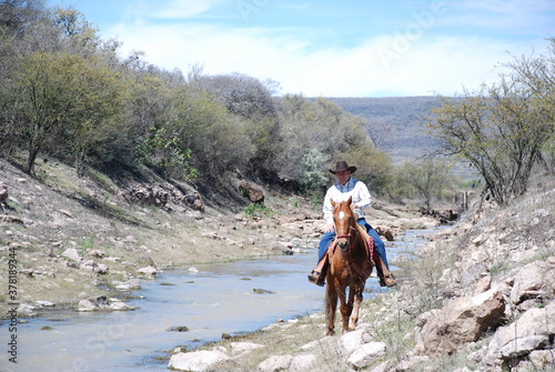 horse and rider