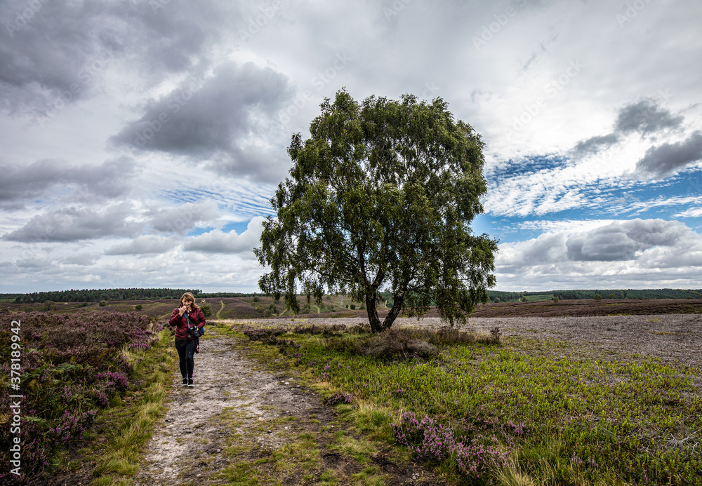 walking in the clouds