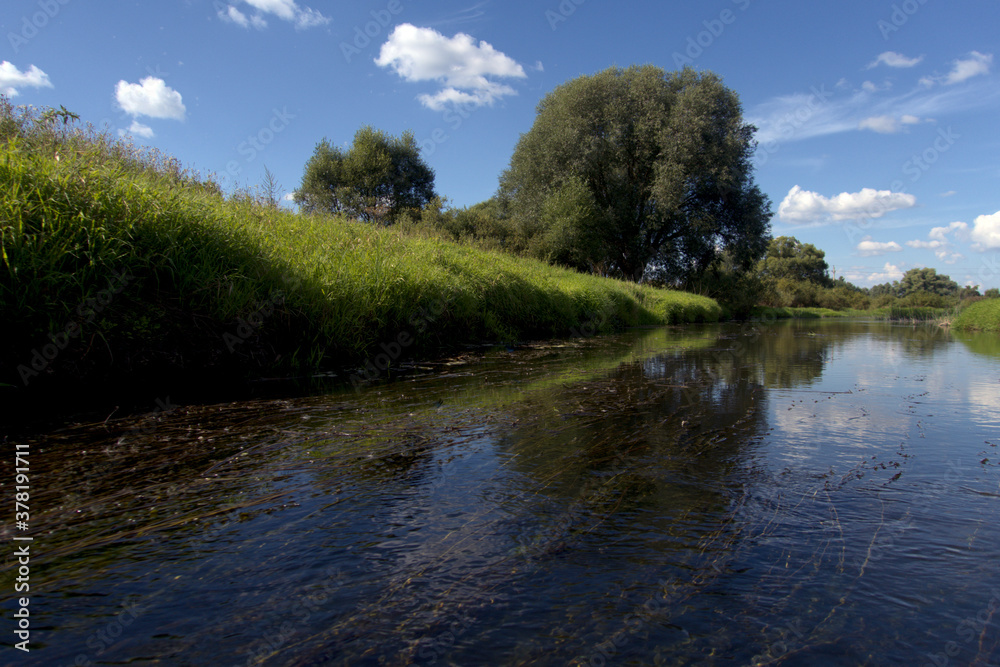 A river with reed banks and willows. Good fishing spot. A river with reed banks and willows. Good fishing spot.