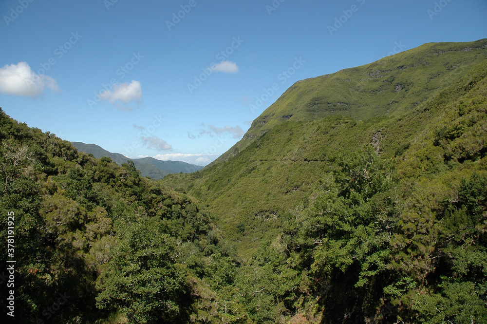 The beautiful nature of Madeira Island