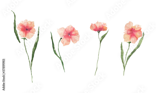 Set with watercolor orange flowers on a white background. Watercolor illustration for the decoration of weddings  postcards  fabric  posters.
