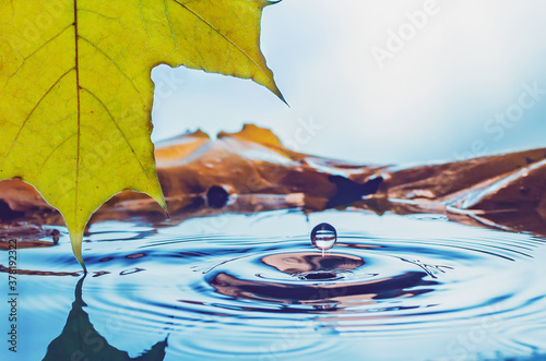 Yellow autumn maple leaf with reflection and drop over wavy water