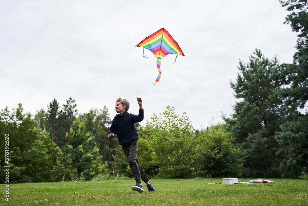 Cheerful boy with kite running on grass